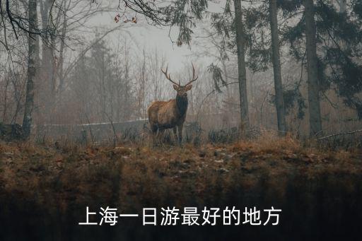 上海一日游最好的地方