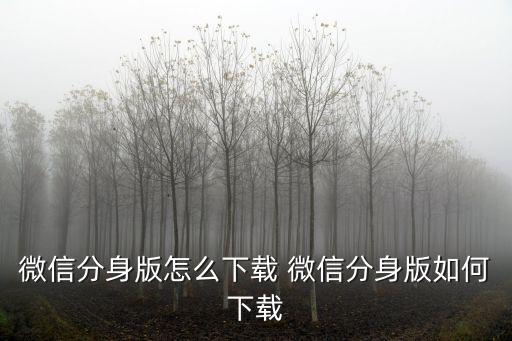 微信分身版下載微信2，微信分身怎么下載