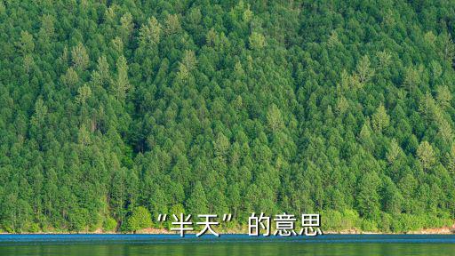 “半天”的意思