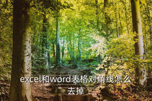 表格對(duì)角線怎么弄,怎么去掉excel和word表格對(duì)角線?