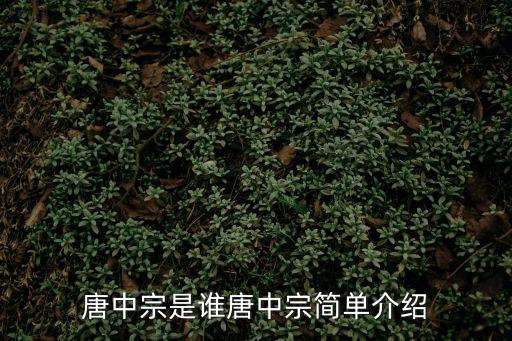 唐中宗是誰唐中宗簡單介紹