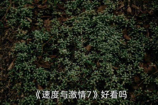 《速度與激情7》好看嗎