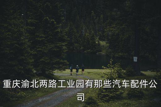 重慶市大盛汽車配件，重慶渝北兩路工業園有那些汽車配件公司
