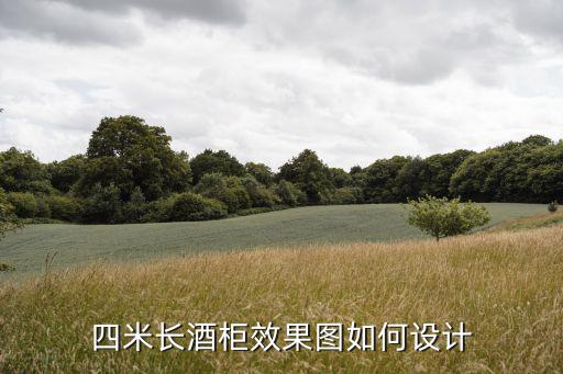 四米長酒柜效果圖如何設計