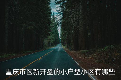重慶市區新開盤的小戶型小區有哪些