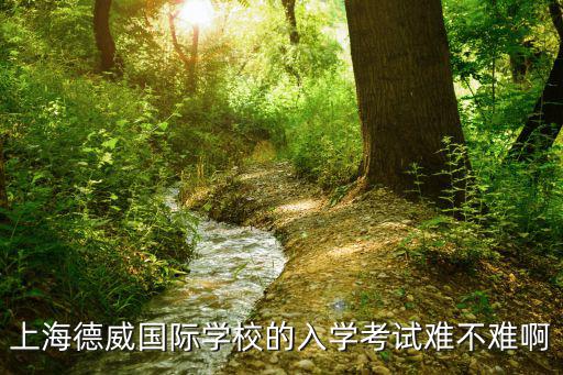 上海德威國際學校的入學考試難不難啊