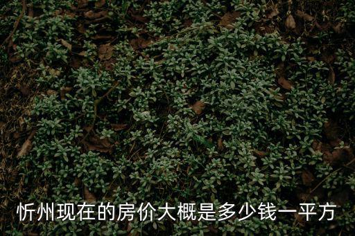 忻州現在的房價大概是多少錢一平方