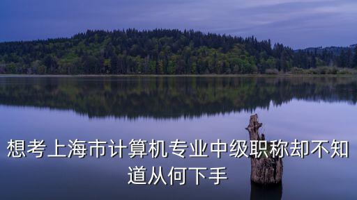 想考上海市計(jì)算機(jī)專業(yè)中級(jí)職稱卻不知道從何下手