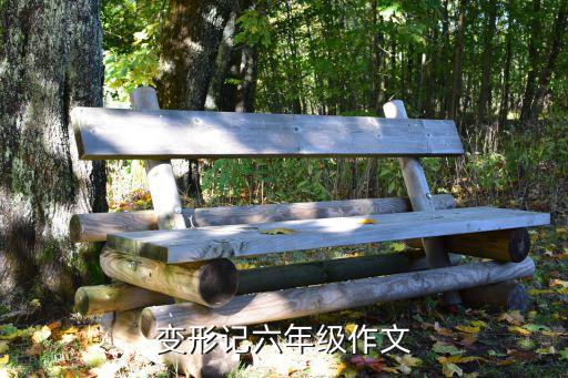 變形記作文六年級，作文豆子變形記50字