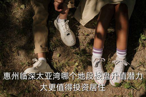 惠州房價哪個地段好，惠州碧桂園與陽江月亮灣哪個好