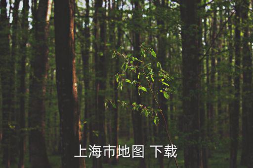 上海市地圖 下載