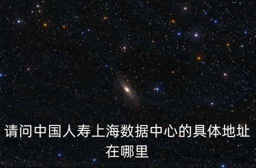 請問中國人壽上海數據中心的具體地址在哪里