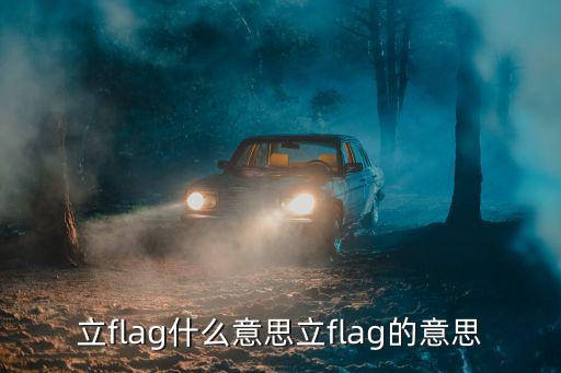 立一個flag,吹牛逼被打臉立flag是什么意思?