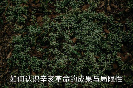 如何認識辛亥革命的成果與局限性