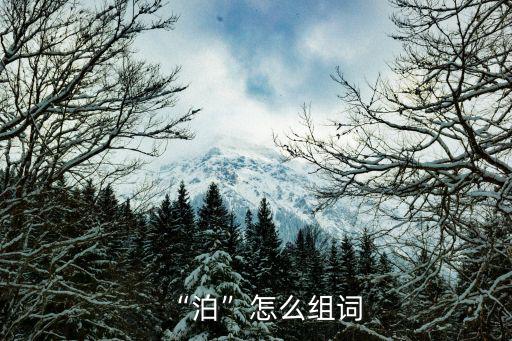 泊字組詞,泊字謎:船只停靠;泊位停泊泊車泊車