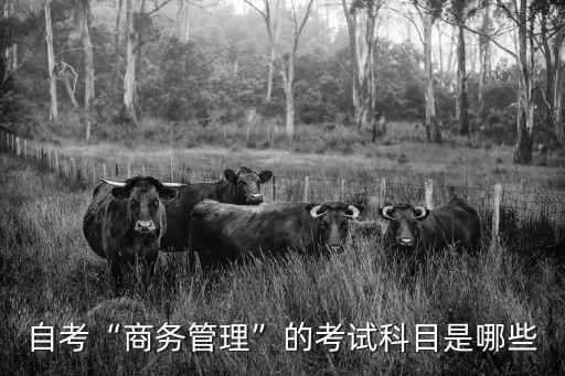 商務(wù)管理畢業(yè)論文,自考商務(wù)管理專業(yè):還差三科沒開學(xué)