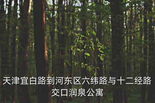 天津宜白路到河東區六緯路與十二經路交口潤泉公寓