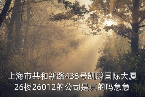 上海市共和新路435號凱鵬國際大廈26樓26012的公司是真的嗎急急