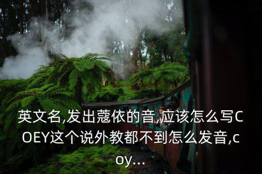 koey,廣州話拼音駒字讀音應為驅同音