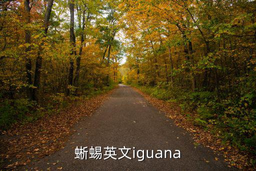 蜥蜴英文iguana