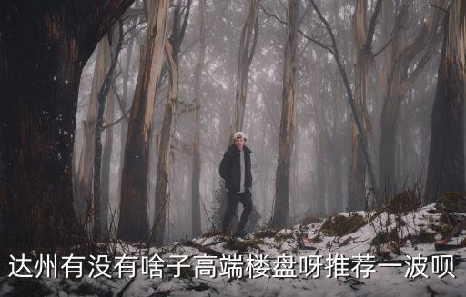 達(dá)州有沒(méi)有啥子高端樓盤(pán)呀推薦一波唄