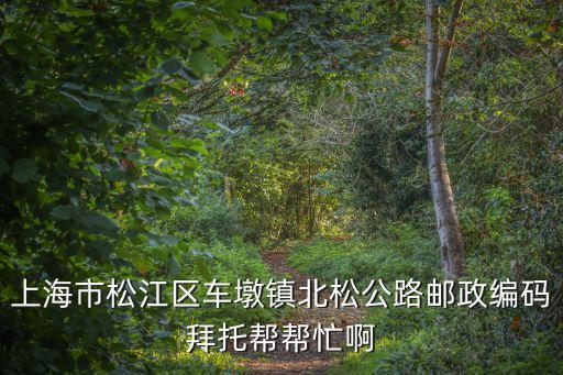 上海市松江區車墩鎮北松公路郵政編碼拜托幫幫忙啊