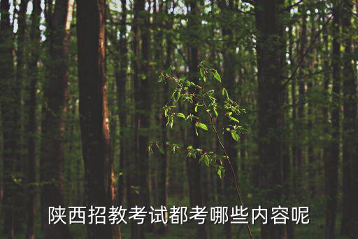 包身工教案,西安招教考試內容有哪些?