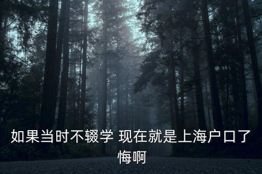 如果當(dāng)時不輟學(xué) 現(xiàn)在就是上海戶口了 悔啊