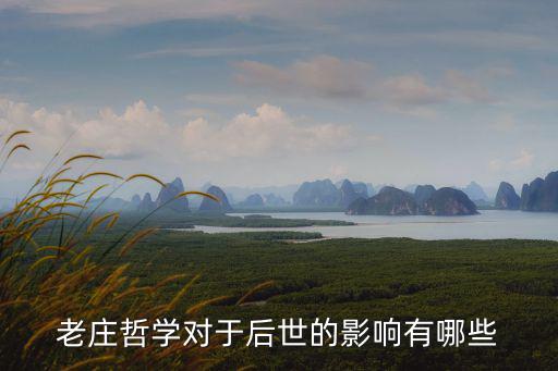 老莊哲學,老莊哲學與儒家思想差異但統一