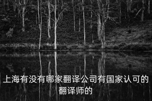 上海市政府認可的翻譯機構，上海有沒有哪家翻譯公司有國家認可的翻譯師的