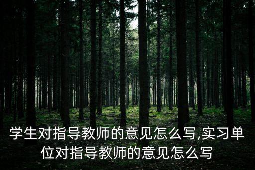 學生對指導教師的意見怎么寫,實習單位對指導教師的意見怎么寫