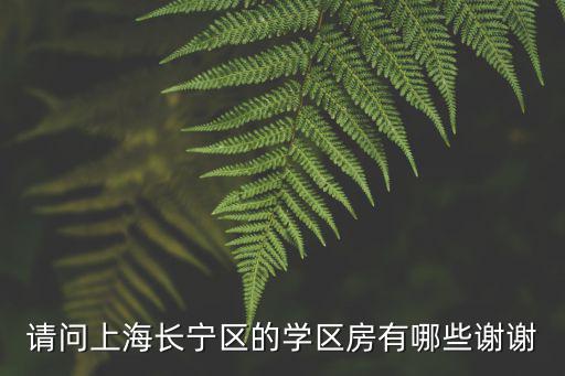 請問上海長寧區(qū)的學(xué)區(qū)房有哪些謝謝