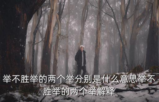 舉不勝舉,舉不勝舉的兩個(gè)舉意思是什么?