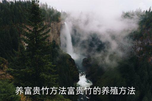 富貴竹的養殖方法,養殖富貴竹怎么養?