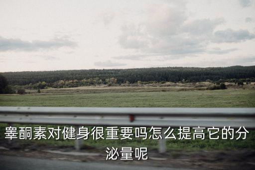 睪酮素對健身很重要嗎怎么提高它的分泌量呢
