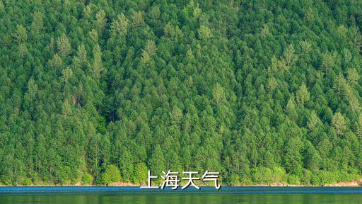 上海天氣