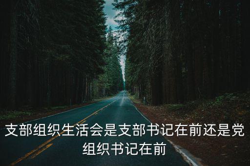 支部組織生活會是支部書記在前還是黨組織書記在前