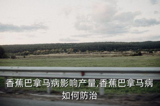 香蕉巴拿馬病影響產(chǎn)量,香蕉巴拿馬病如何防治