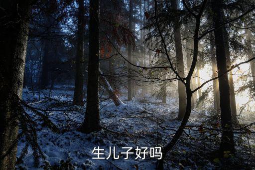 生兒子好嗎