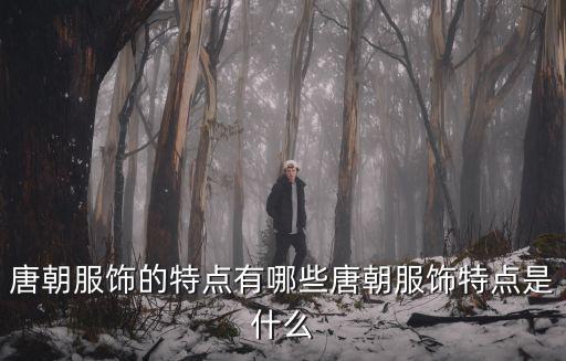 唐代服裝,唐朝服飾特點究竟是什么?