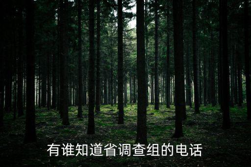 有誰知道省調查組的電話