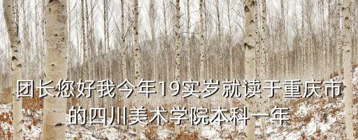 團長您好我今年19實歲就讀于重慶市的四川美術(shù)學院本科一年