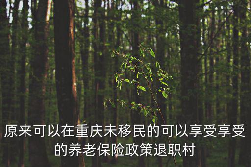 原來可以在重慶未移民的可以享受享受的養老保險政策退職村