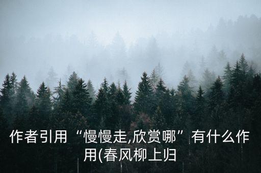 慢慢走欣賞啊,慢慢走,欣賞哪，有什么用?