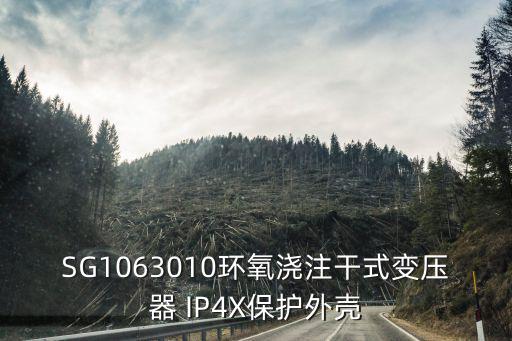 SG1063010環氧澆注干式變壓器 IP4X保護外殼