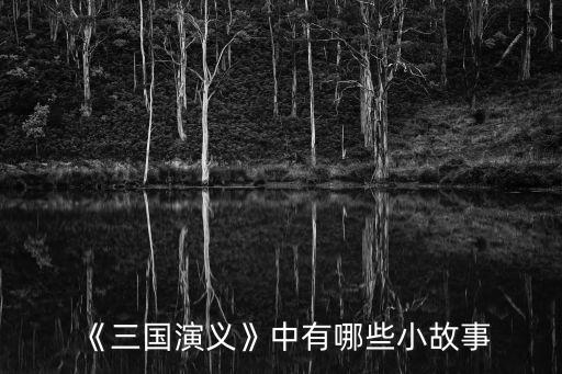 三國演義小故事,《三國演義》小故事大全精選