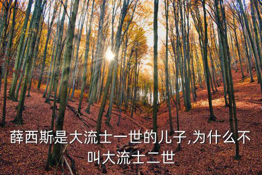 薛西斯一世,波斯帝國五位國王的來歷