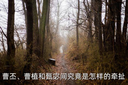 曹丕、曹植和甄宓間究竟是怎樣的牽扯