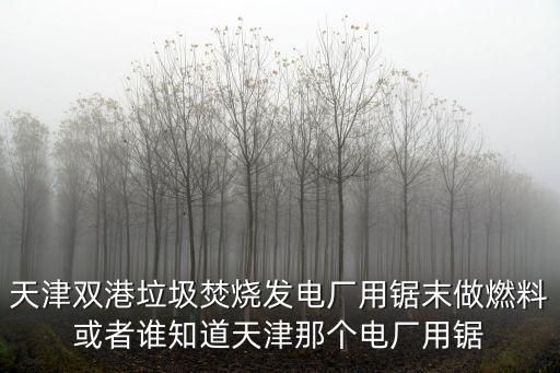天津雙港垃圾焚燒發電廠用鋸末做燃料或者誰知道天津那個電廠用鋸