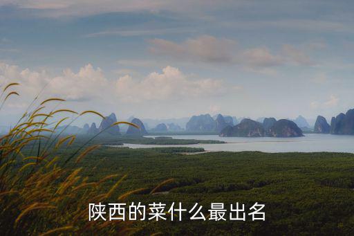 陜西的菜什么最出名